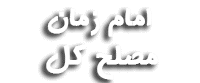 امام زمان، مصلح کل